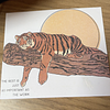 lsgaffner's profile picture