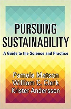 Pursuing Sustainability by Pamela Matson, Pamela Matson