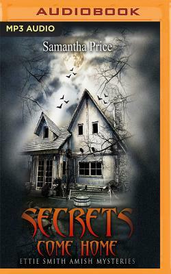 Secrets Come Home by Samantha Price