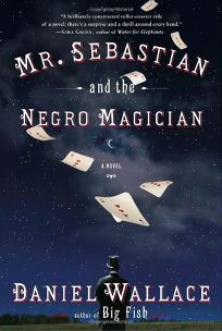 Mr. Sebastian and the Negro Magician by Daniel Wallace