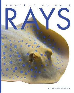 Rays by Valerie Bodden