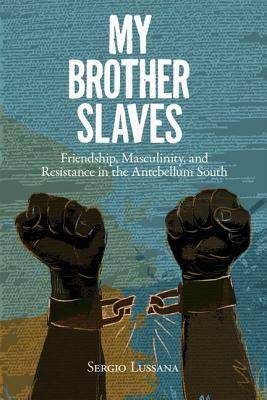 My Brother Slaves: Friendship, Masculinity, and Resistance in the Antebellum South by Sergio A. Lussana