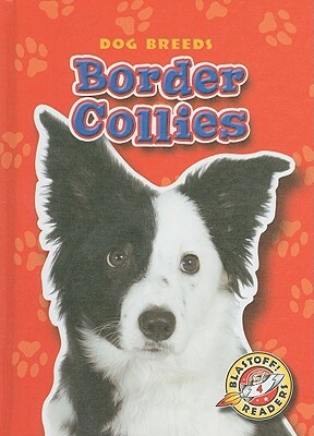 Border Collies by Sara Green