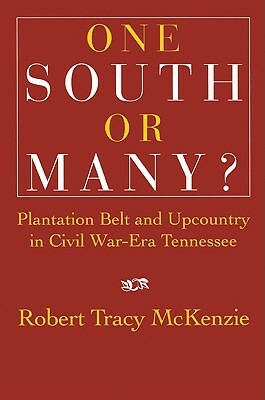 One South or Many?: Plantation Belt and Upcountry in Civil War-Era Tennessee by Robert Tracy McKenzie