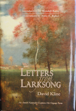 Letters from Larksong by David Kline