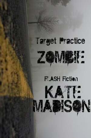 Target Practice by Kate Madison