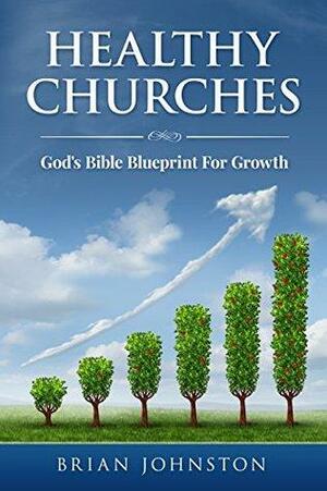 Healthy Churches - God's Bible Blueprint For Growth by Hayes Press, Brian Johnston