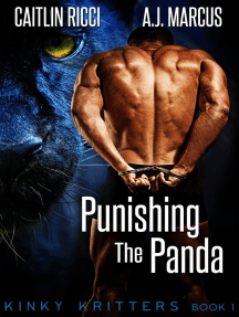 Punishing The Panda by A.J. Marcus, Caitlin Ricci