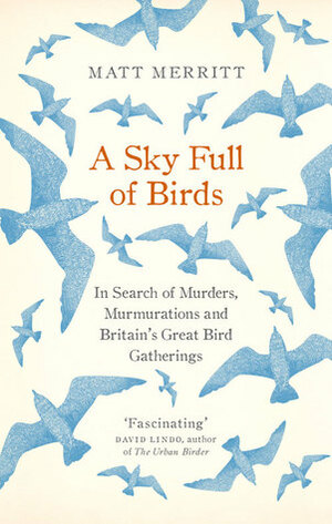 A Sky Full of Birds by Matt Merritt