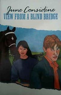 View from a Blind Bridge by June Considine