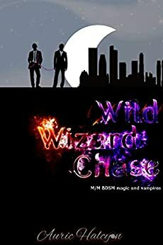 Wild Wizard Chase by Auric Halcyon