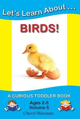 Let's Learn About...Birds!: A Curious Toddler Book by Cheryl Shireman