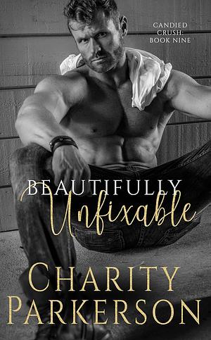 Beautifully Unfixable by Charity Parkerson