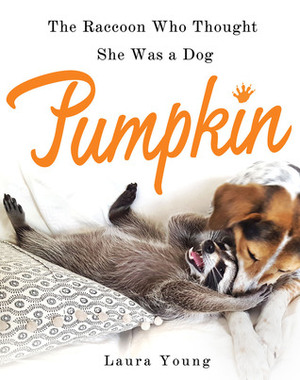 Pumpkin: The Raccoon Who Thought She Was a Dog by Laura Young