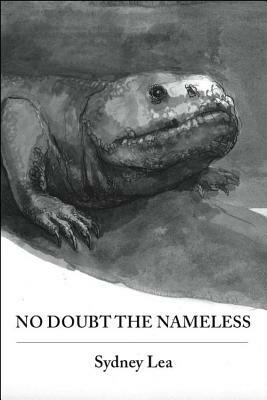 No Doubt the Nameless by Sydney Lea