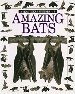 Amazing Bats by Frank Greenaway