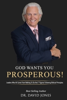 God Wants You Prosperous!: Leaders Who All Came From Nothing To Six And 7 Figures Following Biblical Principles by David Jones