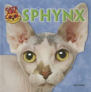 Sphynx by Ruth Owen