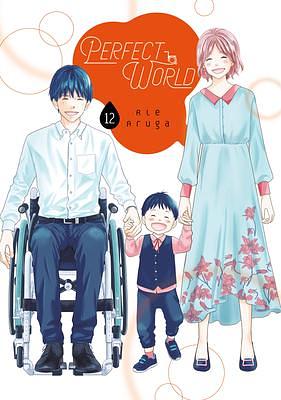 Perfect World, Vol. 12 by Rie Aruga, Rie Aruga