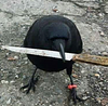 alwaysbored's profile picture