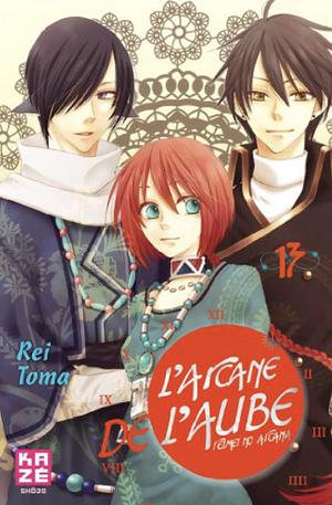 L'arcane de l'aube, tome 13 by Rei Tōma