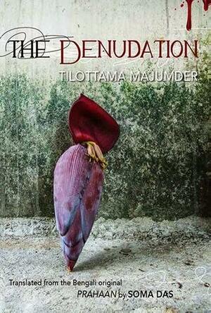 The Denudation by Tilottama Majumdar