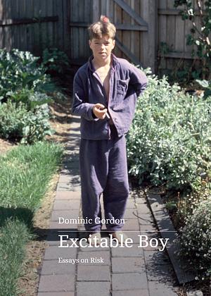 Excitable Boy: Essays on Risk by Dominic Gordon