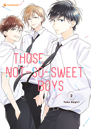 Those Not-So-Sweet Boys, Band 2 by Yoko Nogiri