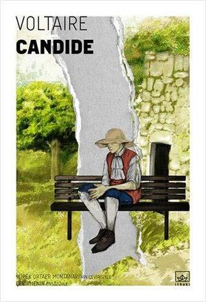 Candide by Voltaire