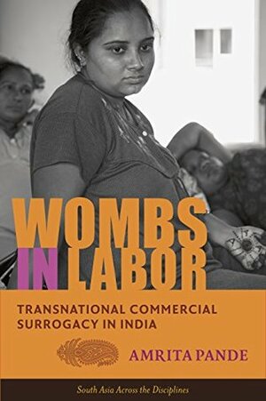 Wombs in Labor: Transnational Commercial Surrogacy in India (South Asia Across the Disciplines) by Amrita Pande