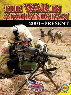 The War in Afghanistan by Steve Goldsworthy