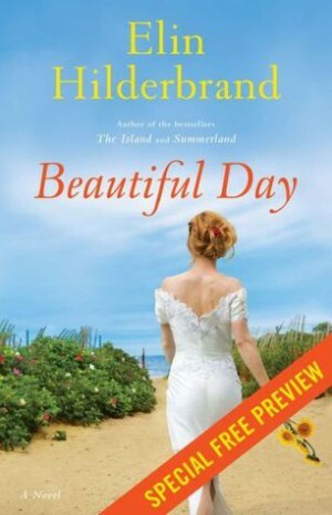 Beautiful Day -- Free Preview -- The First Three Chapters by Elin Hilderbrand