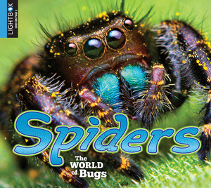 Spiders by Heather Kissock