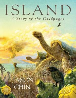 Island: A Story of the Galápagos by Jason Chin