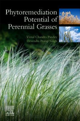 Phytoremediation Potential of Perennial Grasses by D. P. Singh, Vimal Chandra Pandey