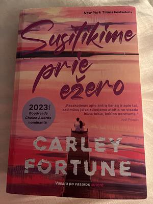 Susitikime prie ežero by Carley Fortune