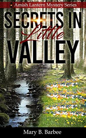 Secrets in Little Valley by Mary B. Barbee