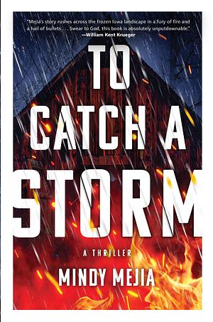 To Catch a Storm by Mindy Mejia