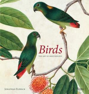 Birds: The Art of Ornithology by Jonathan Elphick