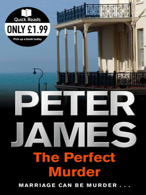 The Perfect Murder by Peter James