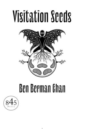 Visitation Seeds by Ben Berman Ghan