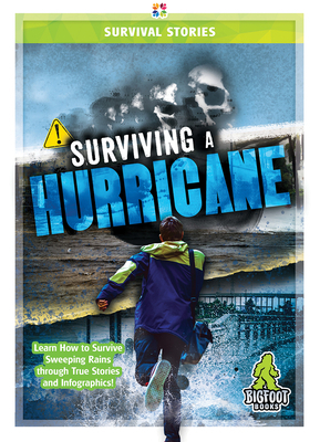 Surviving a Hurricane by Jennifer Mason