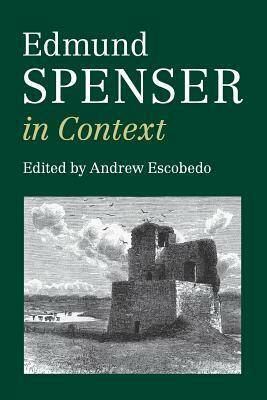 Edmund Spenser in Context by 