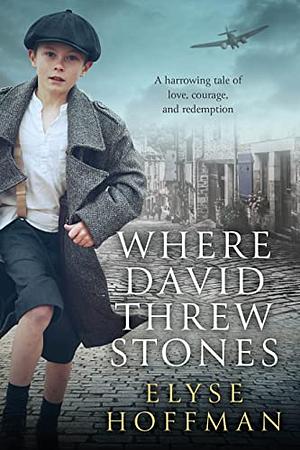 Where David Threw Stones by Elyse Hoffman