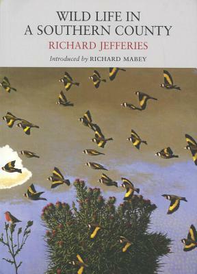 Wild Life in a Southern County by Richard Jefferies