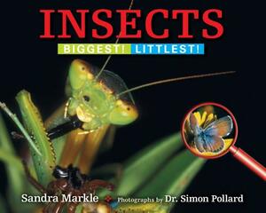 Insects: Biggest! Littlest! by Sandra Markle