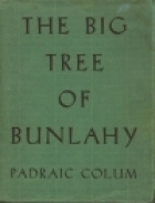 The Big Tree Of Bunlahy: Stories Of My Own Countryside by Jack Butler Yeats, Padraic Colum