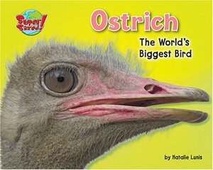 Ostrich: The World's Biggest Bird by Natalie Lunis