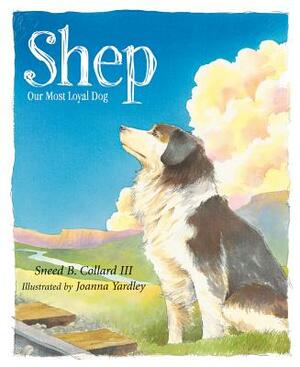 Shep: Our Most Loyal Dog by Sneed B. Collard III