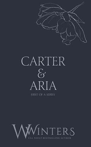 carter and aria: merciless (discreet series) by Willow Winters